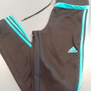 turquoise adidas pants